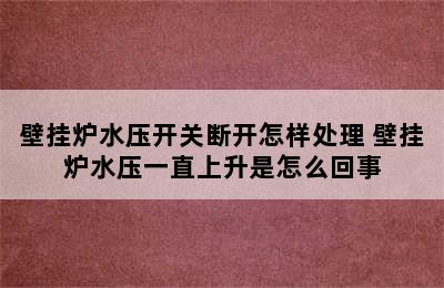 壁挂炉水压开关断开怎样处理 壁挂炉水压一直上升是怎么回事